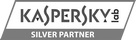 Kaspersky Silver Partner